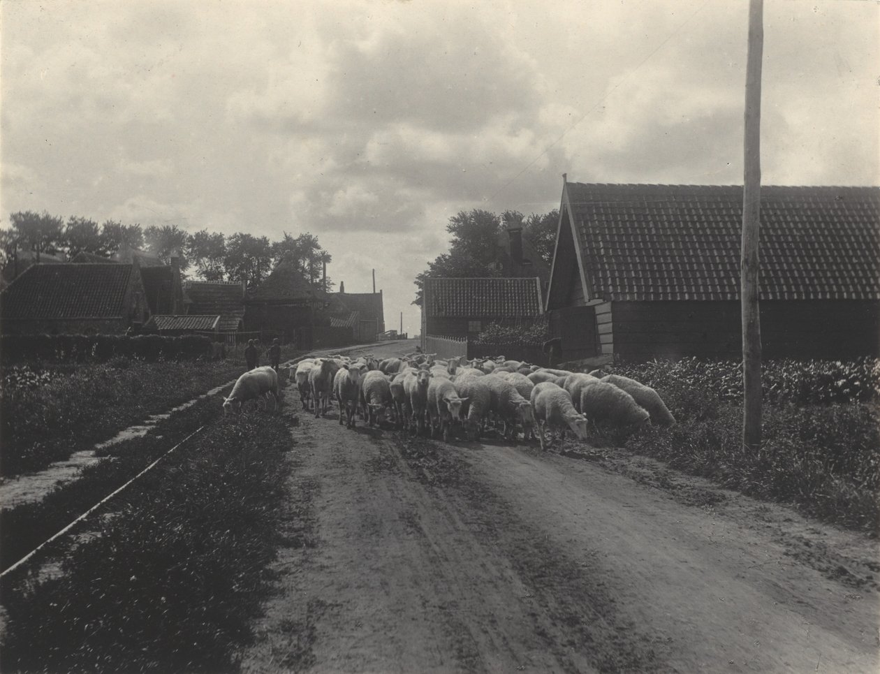 På vei til beitet av Alfred Stieglitz