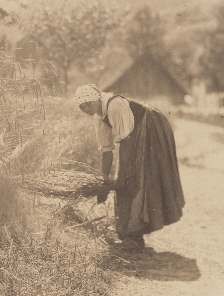 Innhøsting av Alfred Stieglitz