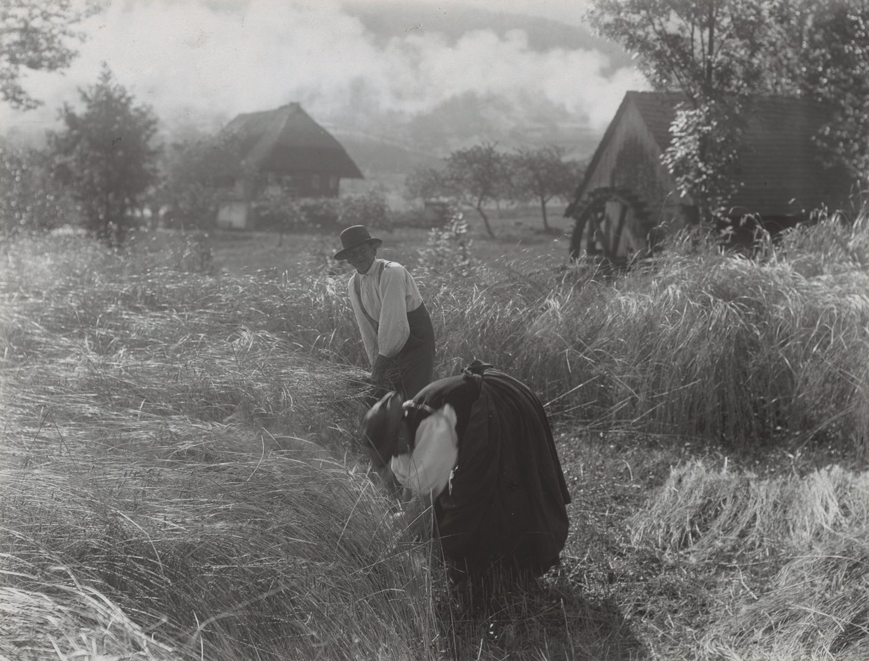 Innhøsting, Schwarzwald av Alfred Stieglitz