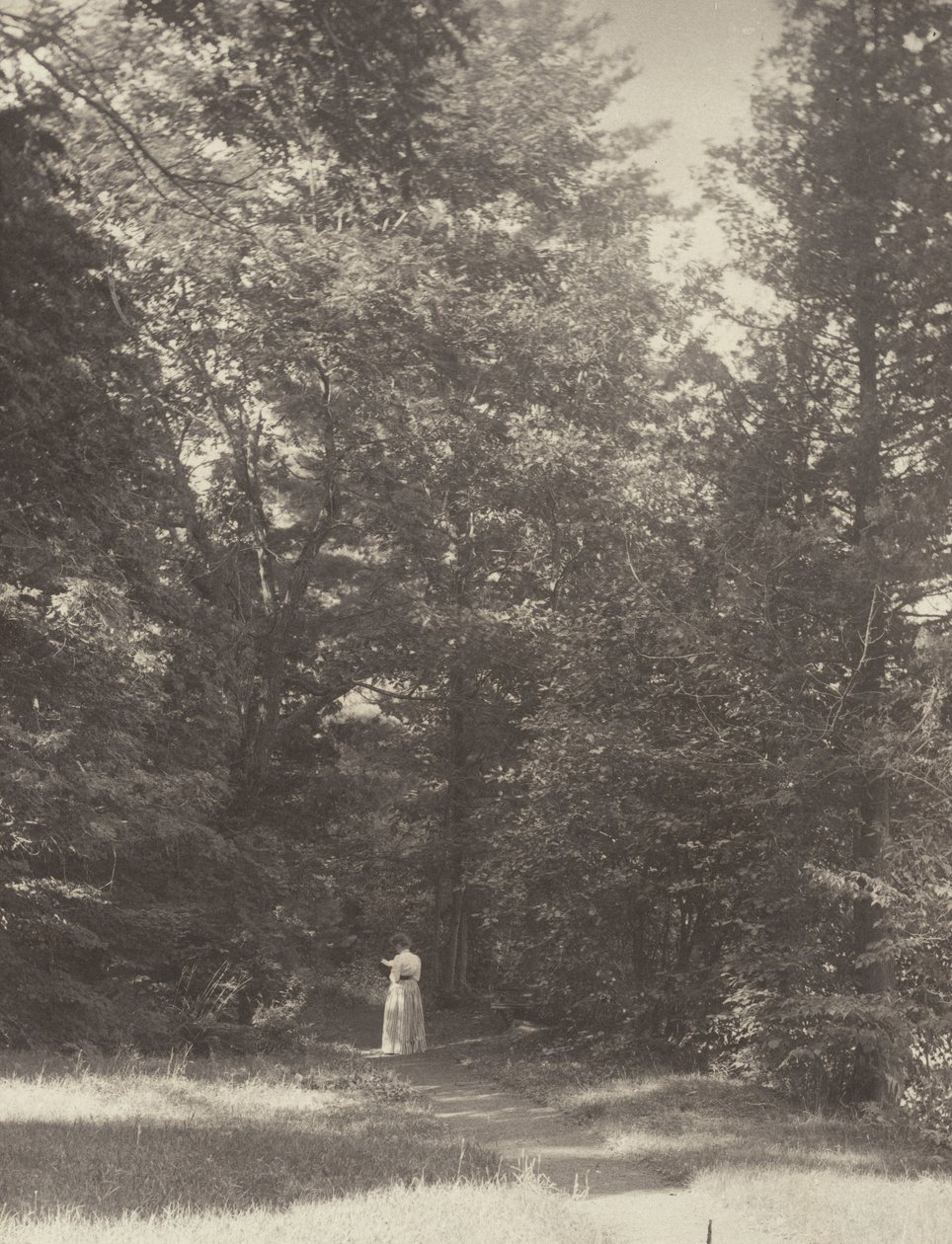 «Hedwigsweg» II, Lake George av Alfred Stieglitz
