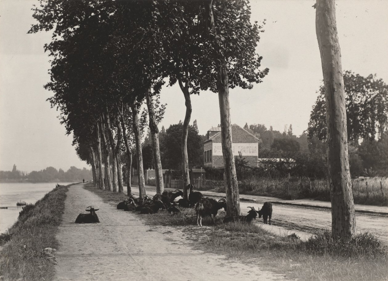 Hjemover av Alfred Stieglitz