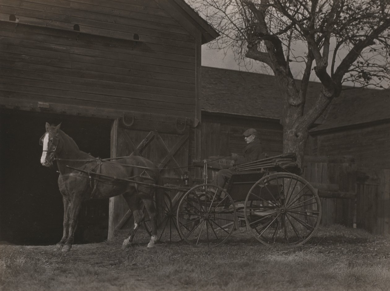Hest og vogn av Alfred Stieglitz