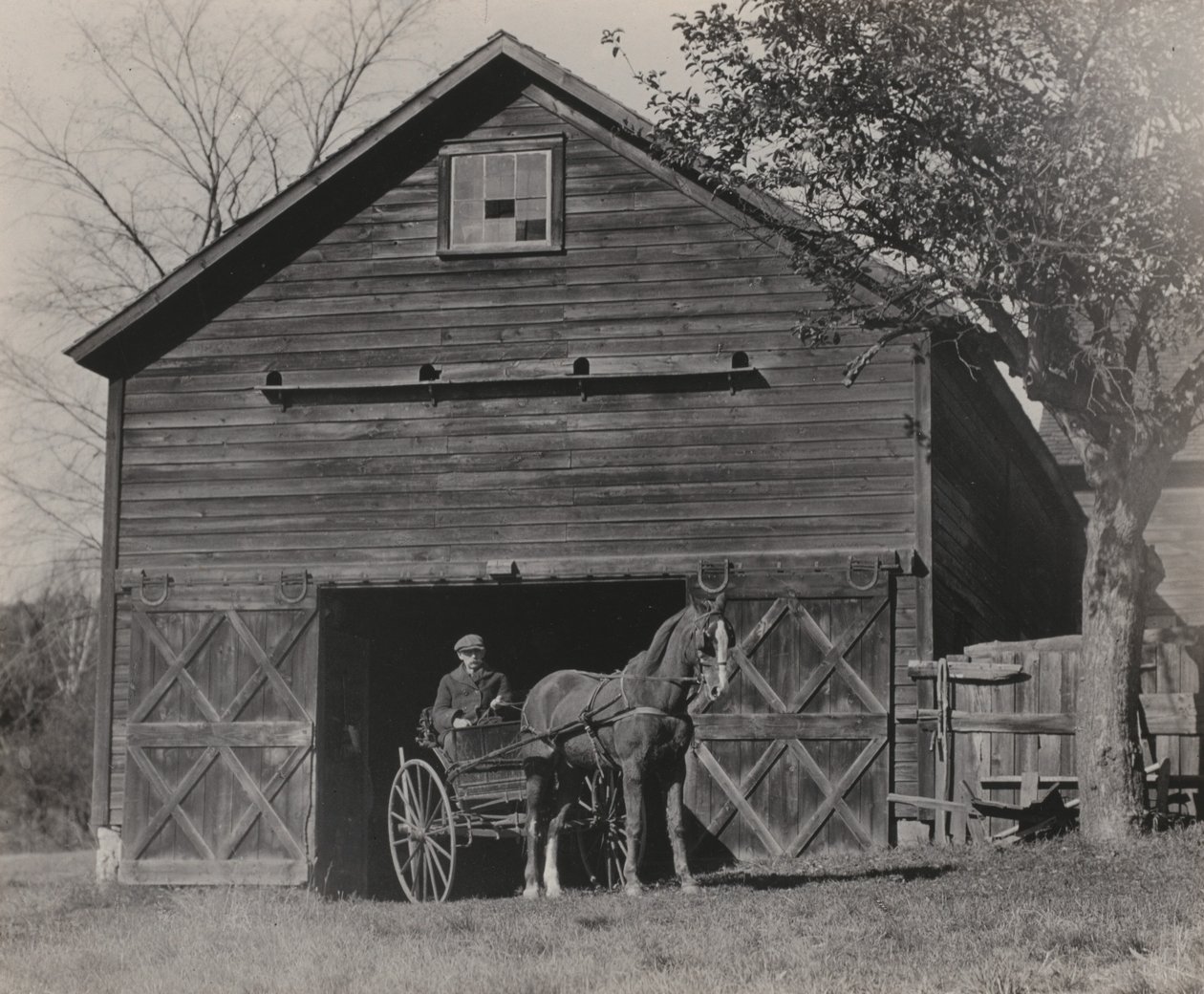 Hest og vogn av Alfred Stieglitz