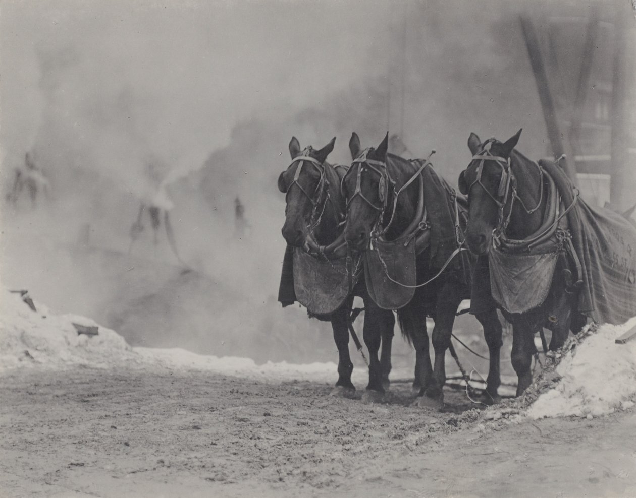 Hester, New York av Alfred Stieglitz
