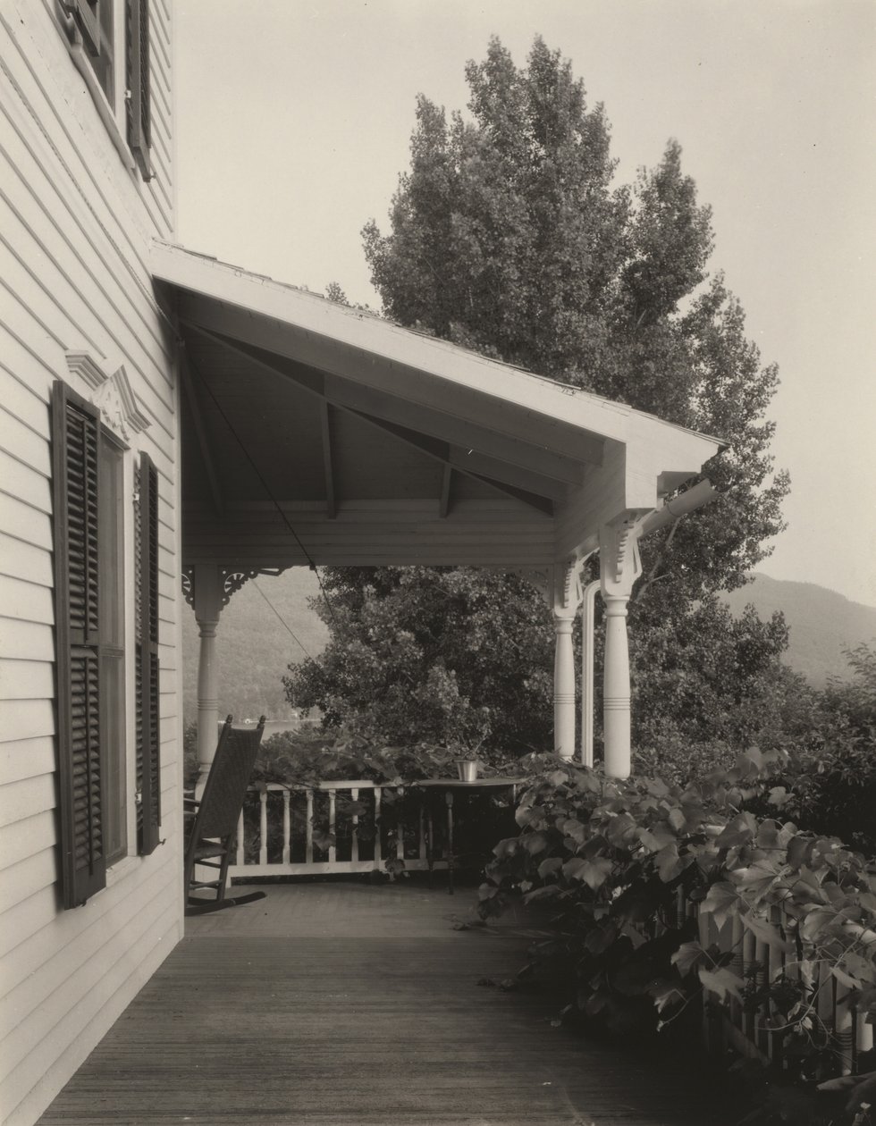 Hus, blader og tre av Alfred Stieglitz