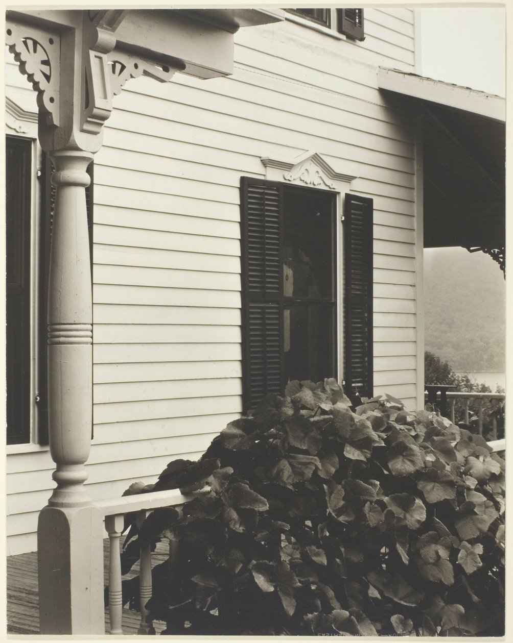  av Alfred Stieglitz