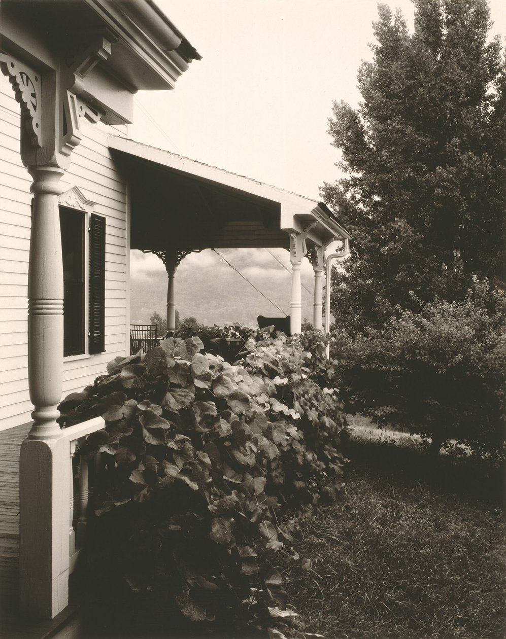  av Alfred Stieglitz