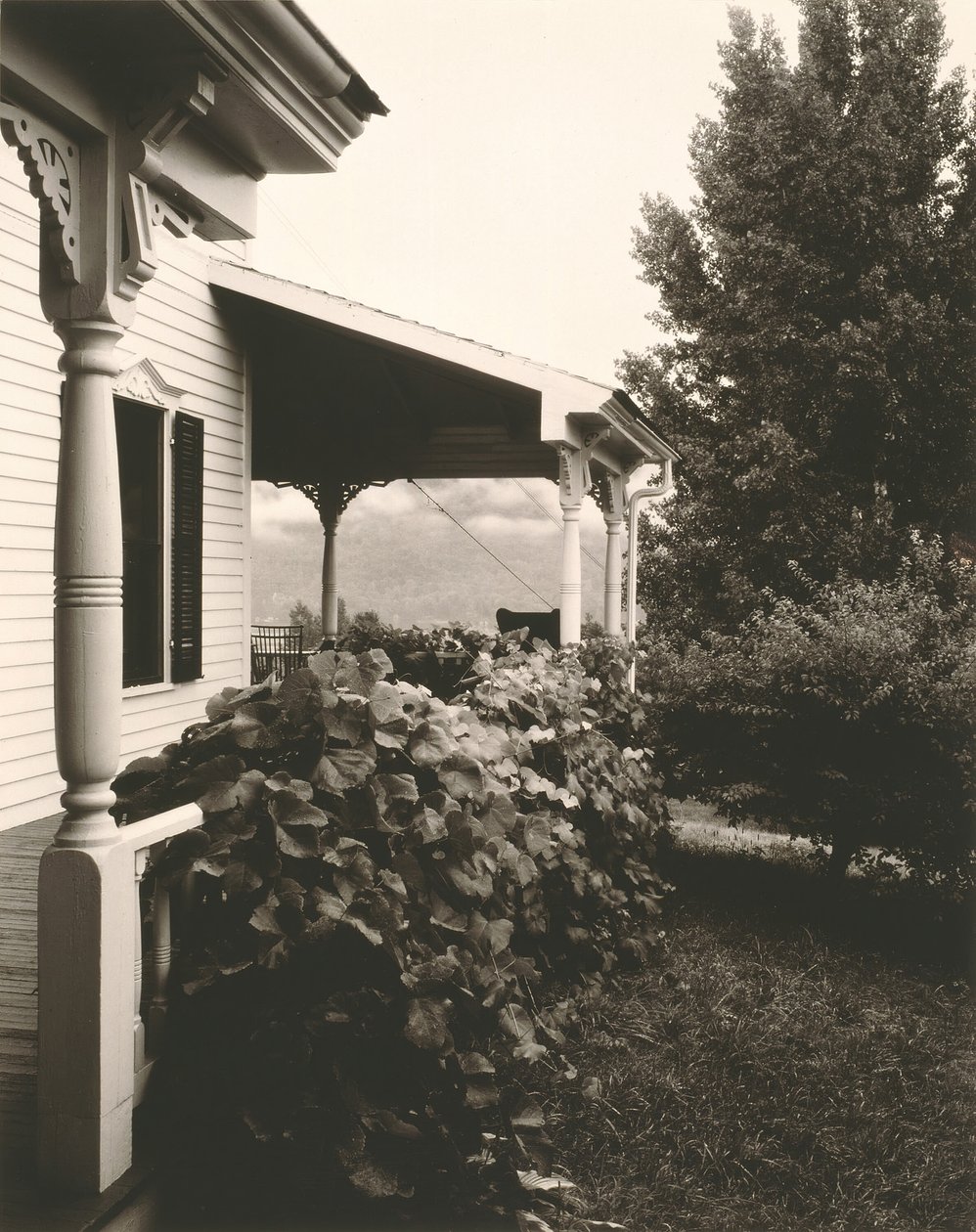 Hus og drueblader, 1934. av Alfred Stieglitz