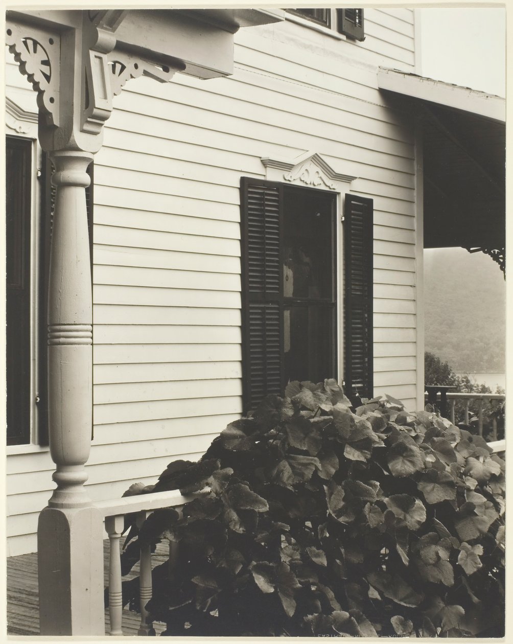 Hus og drueblader, 1934. av Alfred Stieglitz