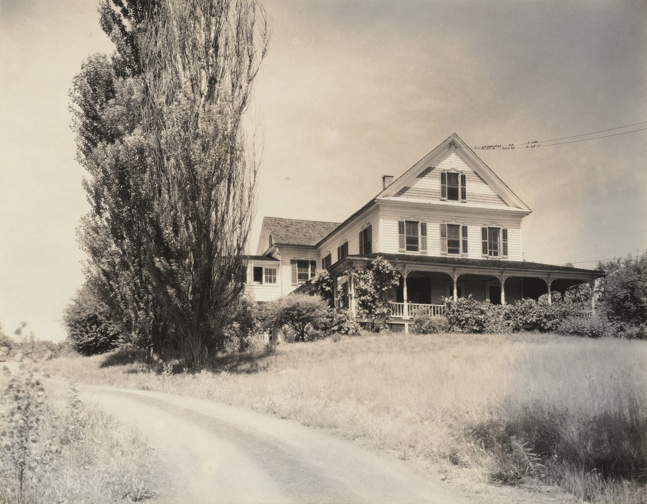 Hus og popler, Lake George av Alfred Stieglitz
