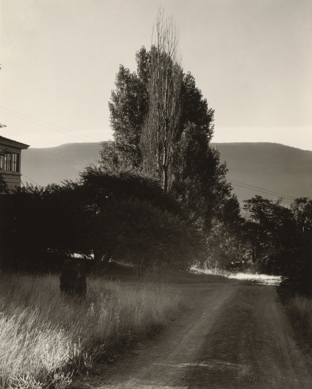 Hus og popler, Lake George av Alfred Stieglitz