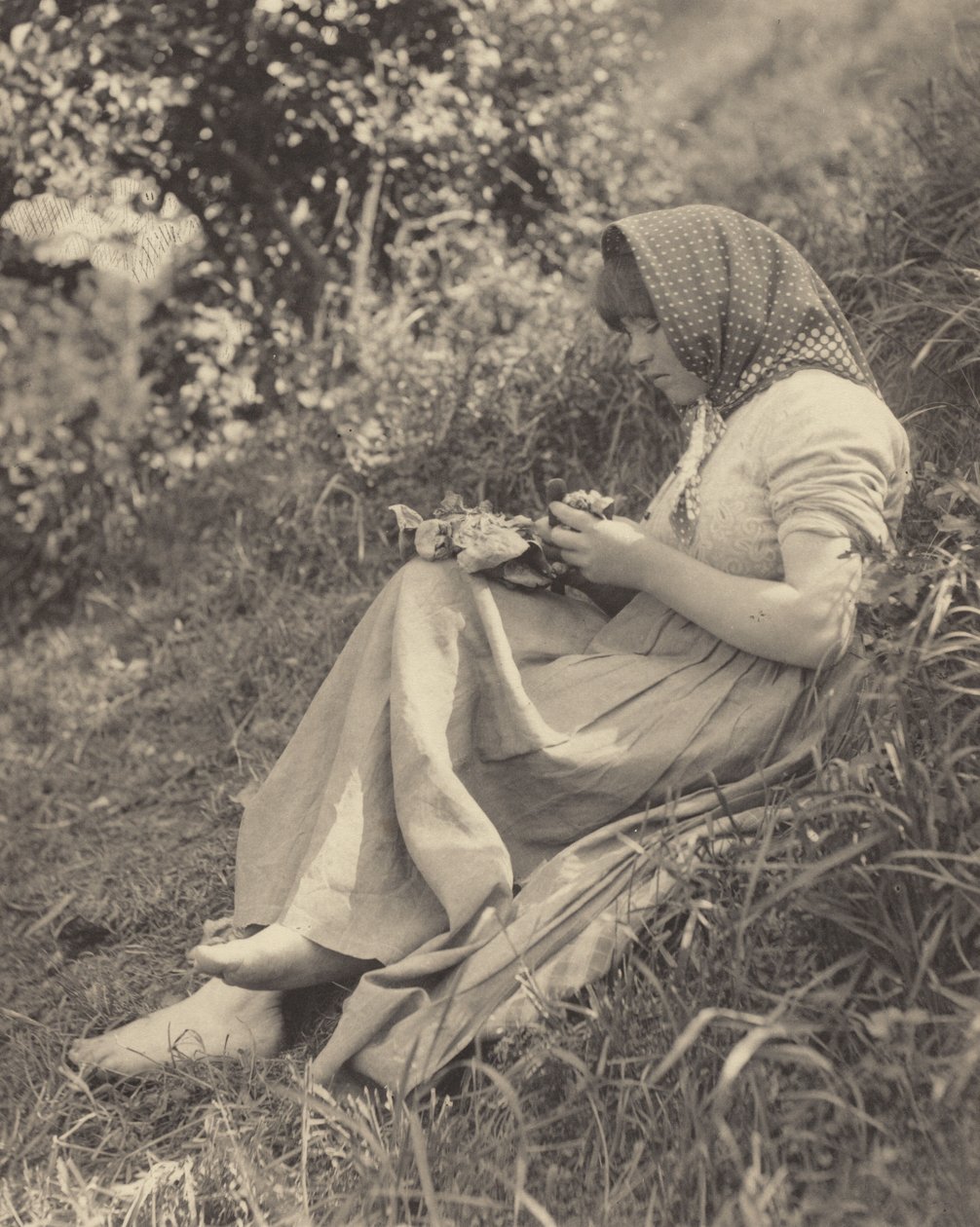 I full sol av Alfred Stieglitz
