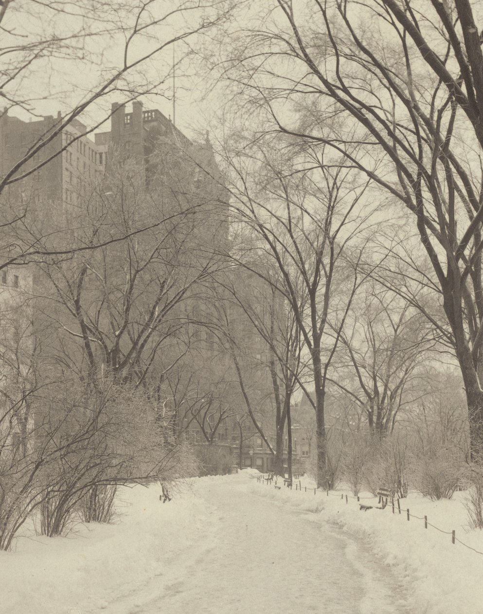 I parken av Alfred Stieglitz