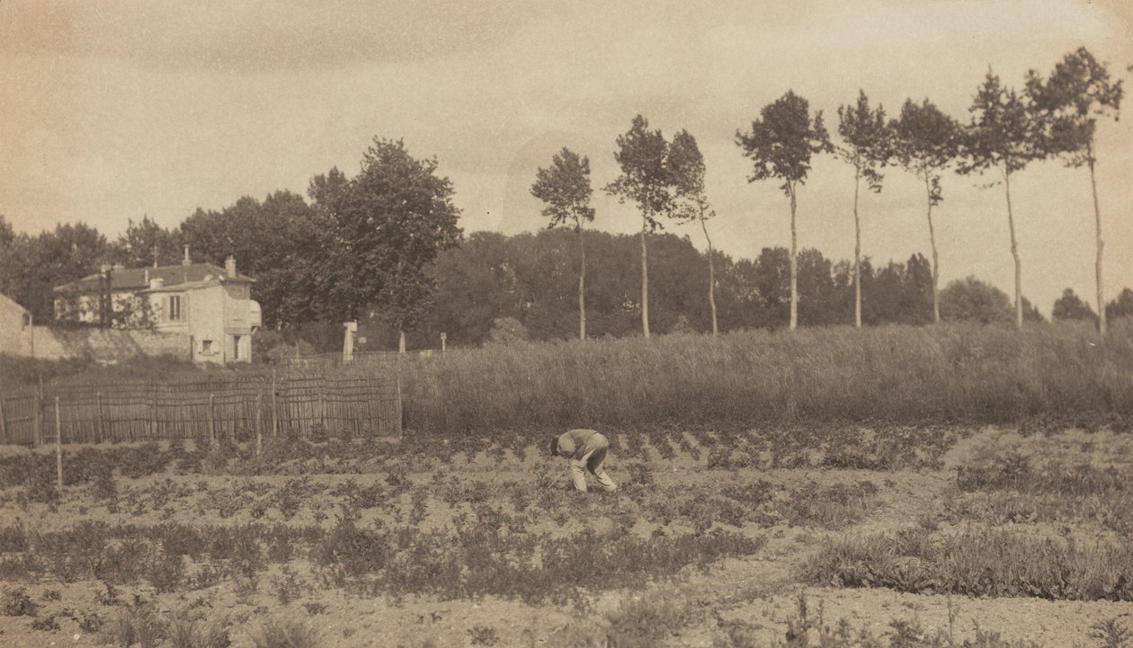I forstedene til Paris av Alfred Stieglitz