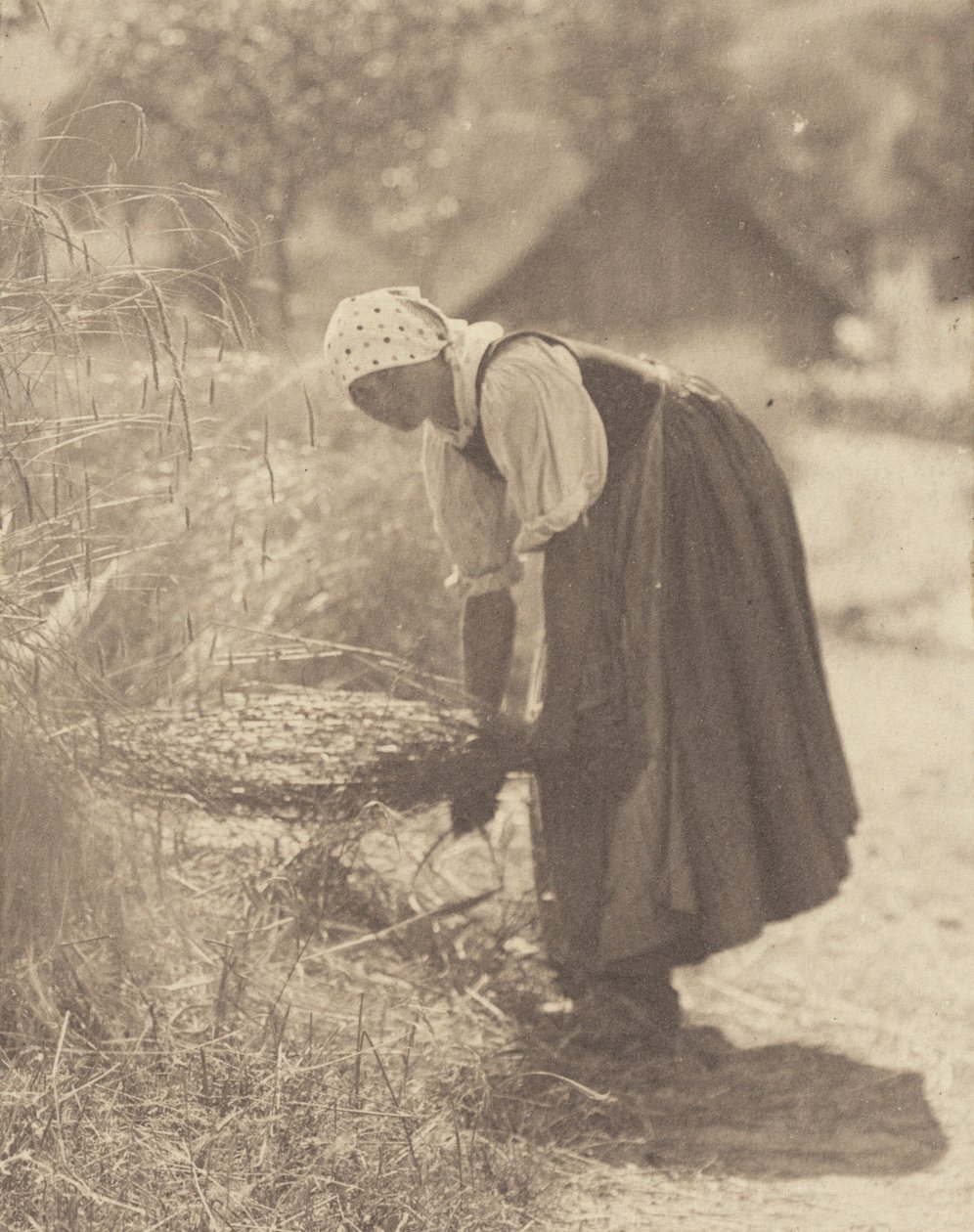 Avbrutt av Alfred Stieglitz