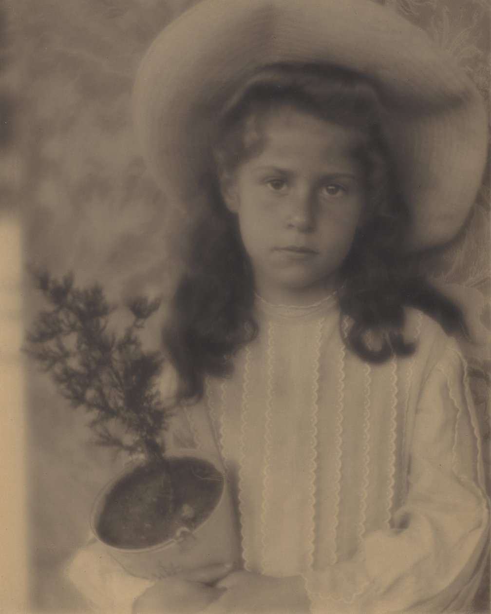 Kitty – Blomsterpotte av Alfred Stieglitz