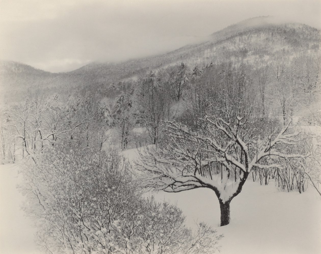 Lake George av Alfred Stieglitz