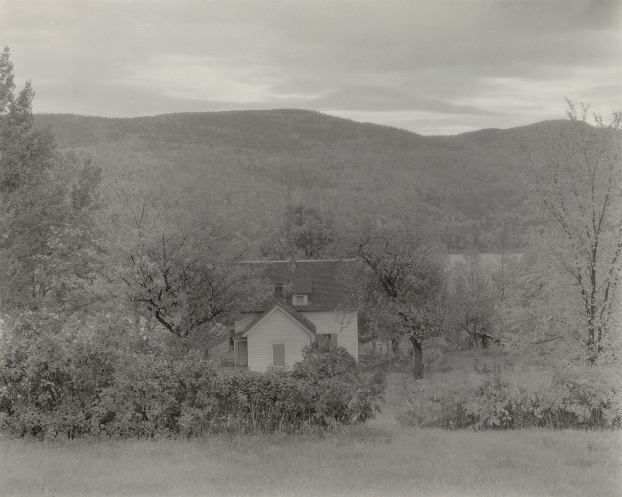 Lake George av Alfred Stieglitz