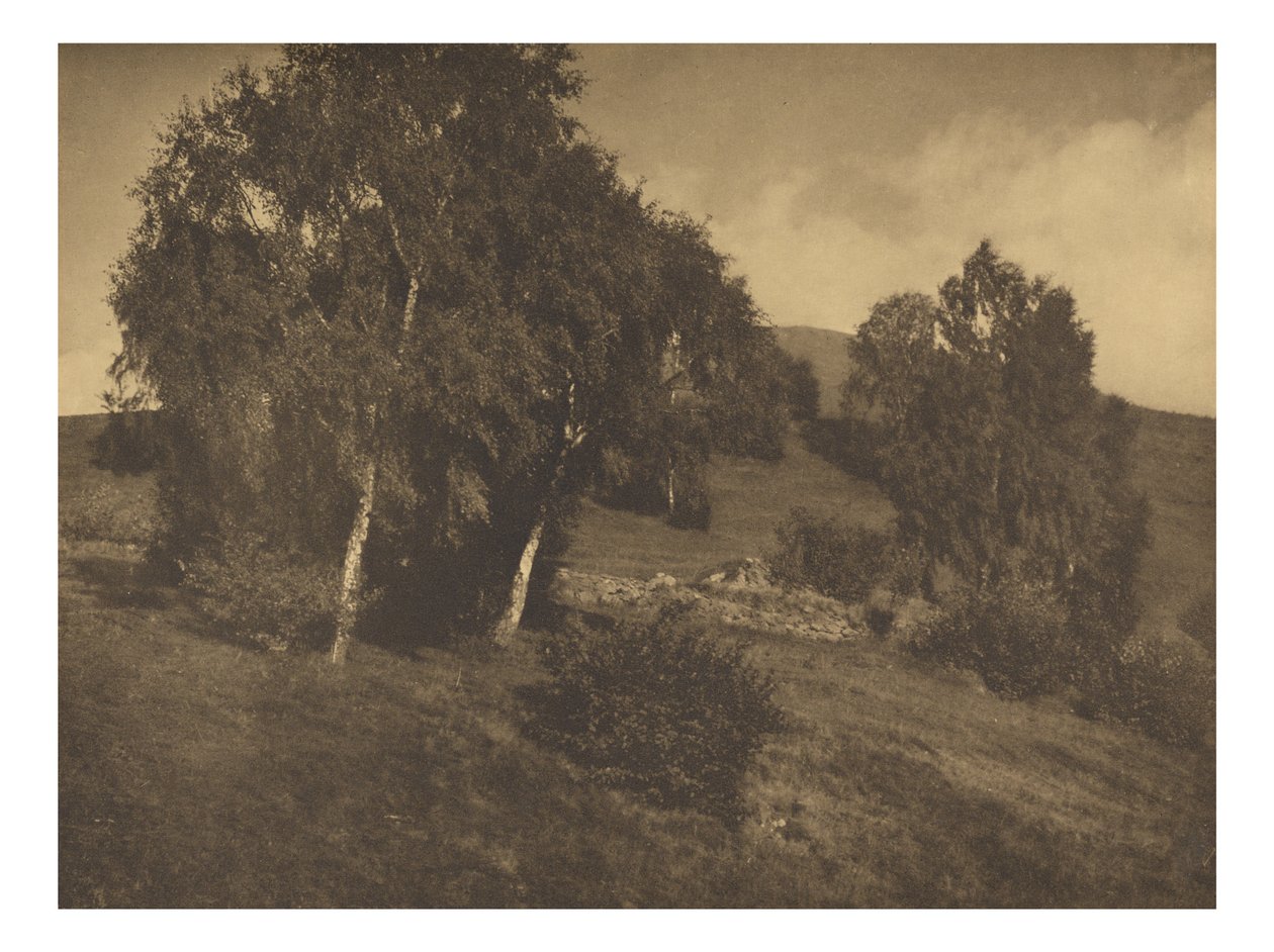  av Alfred Stieglitz