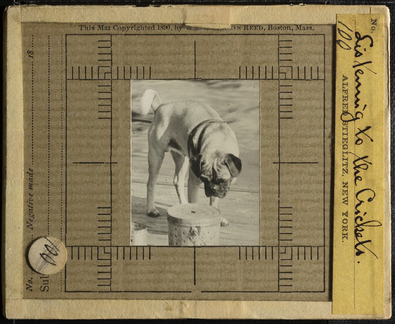 Lytte til crickets, ca. 1900. av Alfred Stieglitz