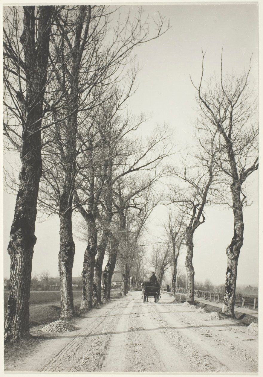 novemberdager av Alfred Stieglitz