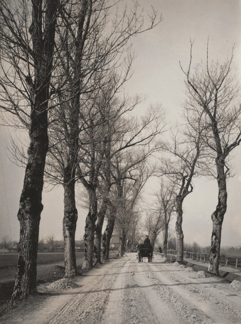 Novemberdager av Alfred Stieglitz