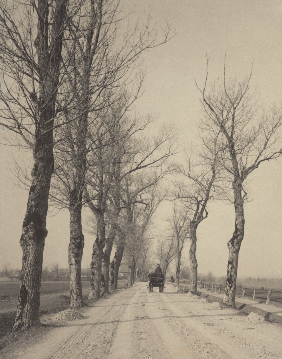 Novemberdager av Alfred Stieglitz
