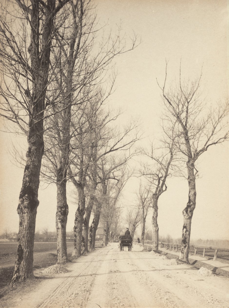Novemberdager av Alfred Stieglitz