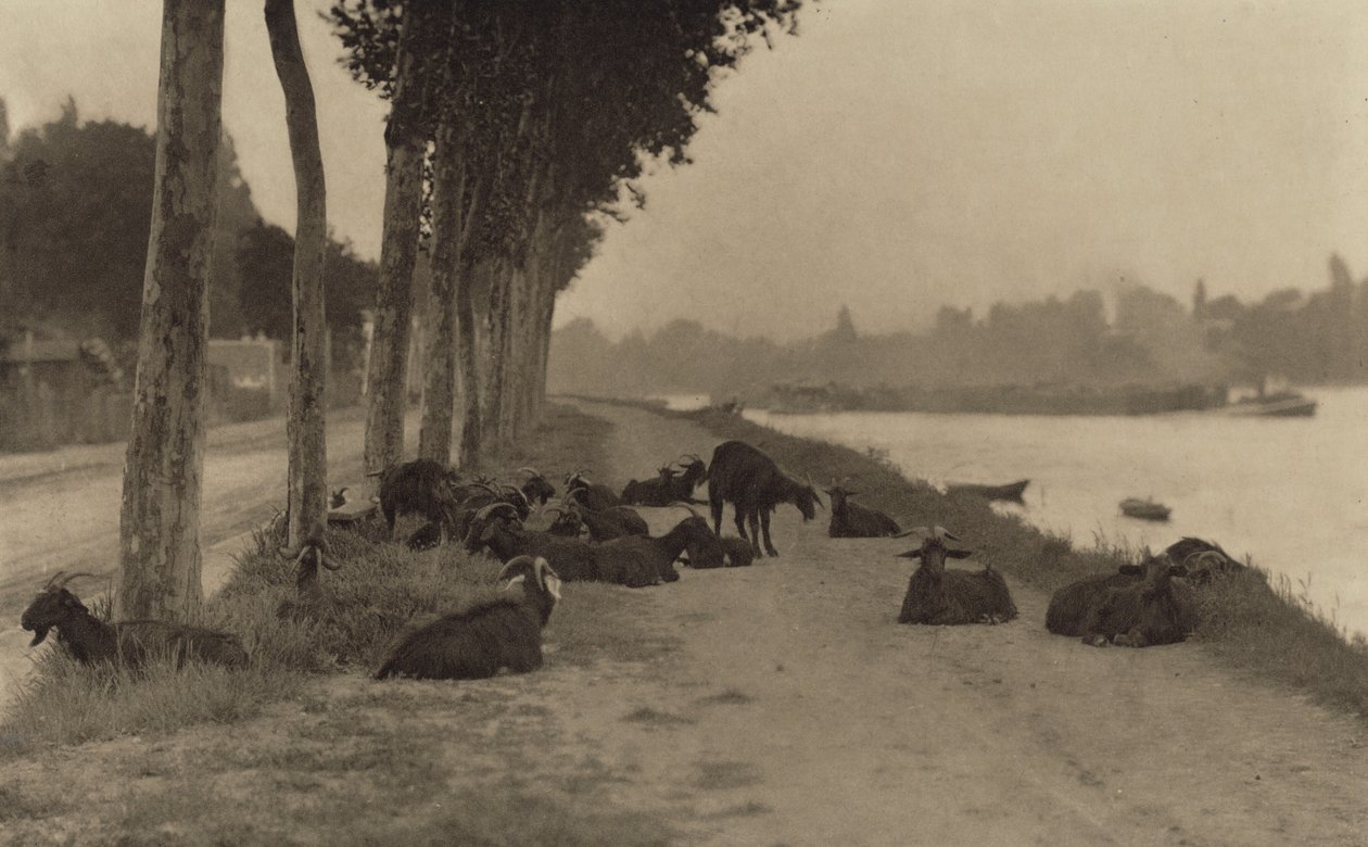 Ved Seinen – i nærheten av Paris av Alfred Stieglitz