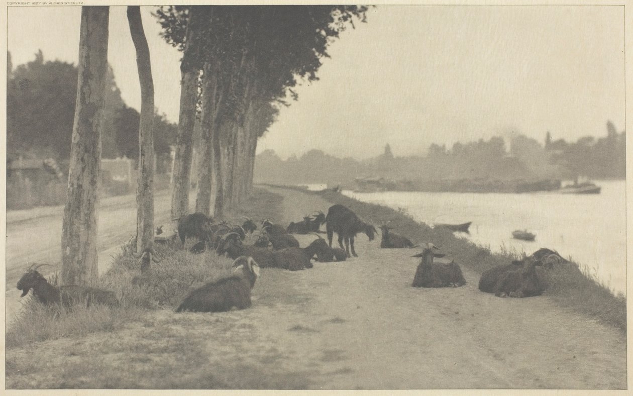 På Seinen - nær Paris, 1894, trykt 1897. av Alfred Stieglitz