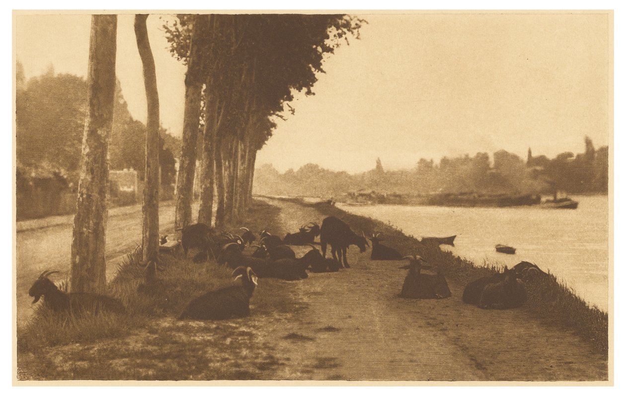  av Alfred Stieglitz
