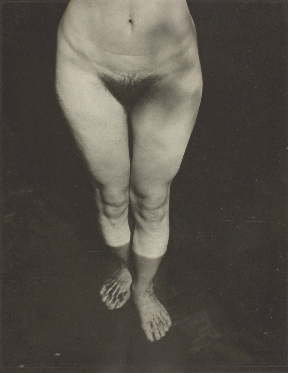 Rebecca Salsbury Strand, 1922.    1194660   no       norwegian Successfully Translated  Original: The Wild Horse, or Frightened Horse Leaving the Water Translat: The Wild Horse, or Frightened Horse Leaving the Water 1308089 no norwegian Successfully Transl av Alfred Stieglitz