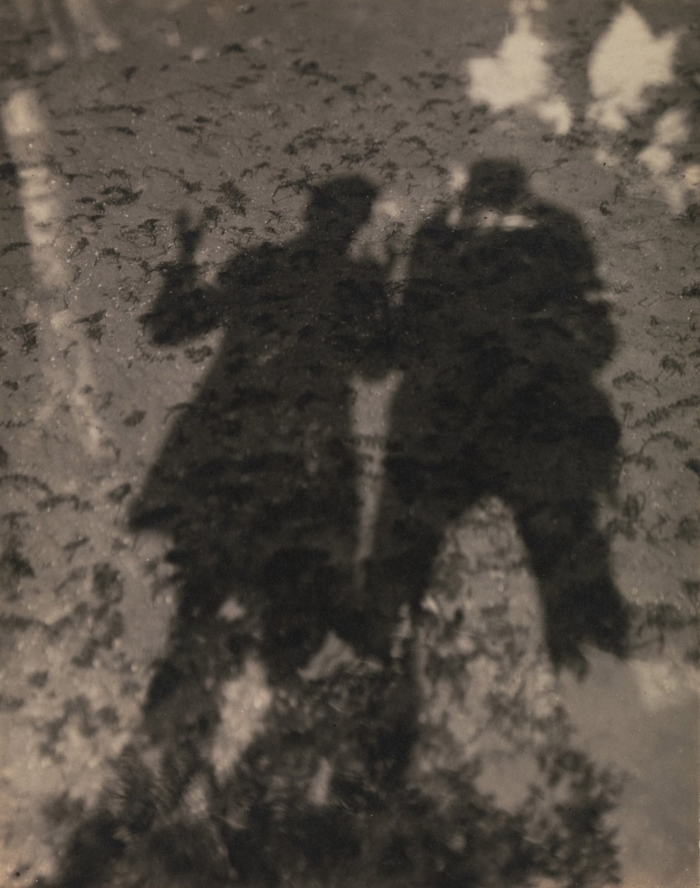 Skygger i innsjøen av Alfred Stieglitz