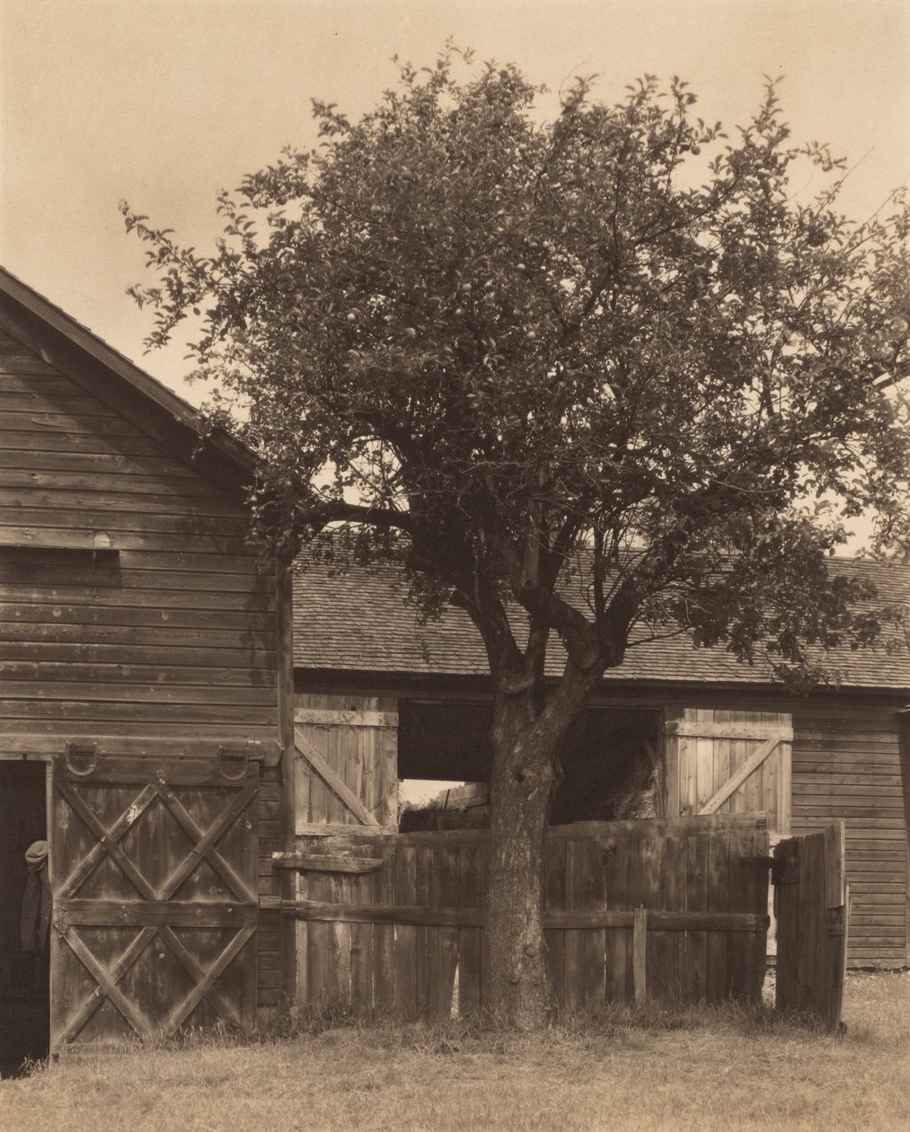 Låven av Alfred Stieglitz