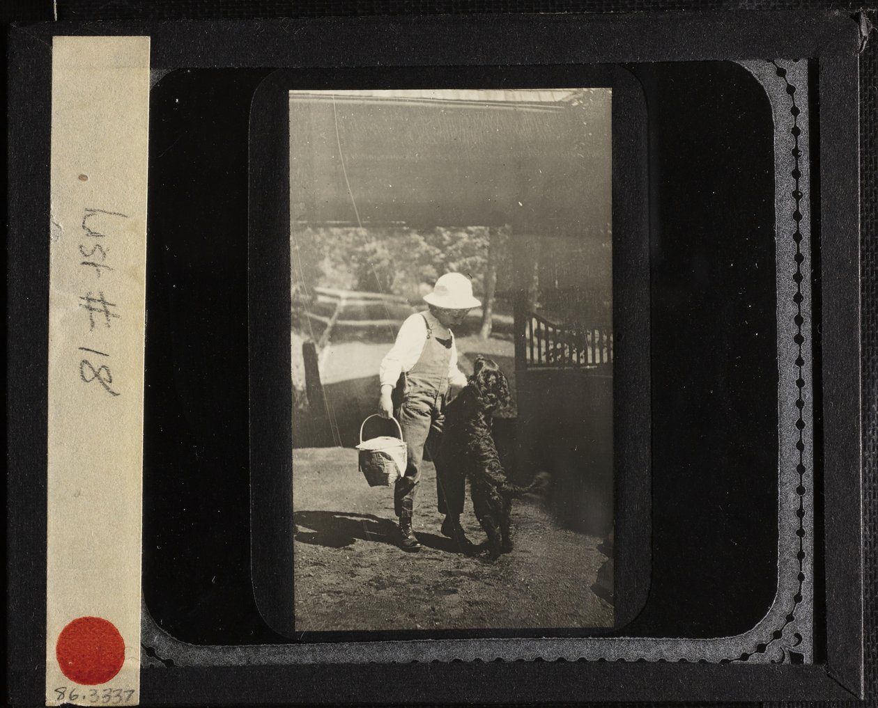 Uten tittel niese Elizabeth med Inky på Oaklawn, ca. 1903. av Alfred Stieglitz