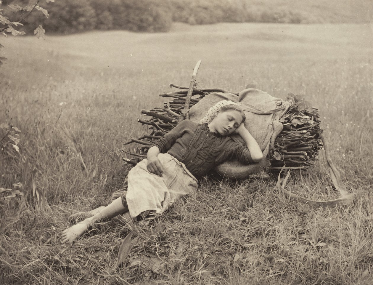 Trett av Alfred Stieglitz