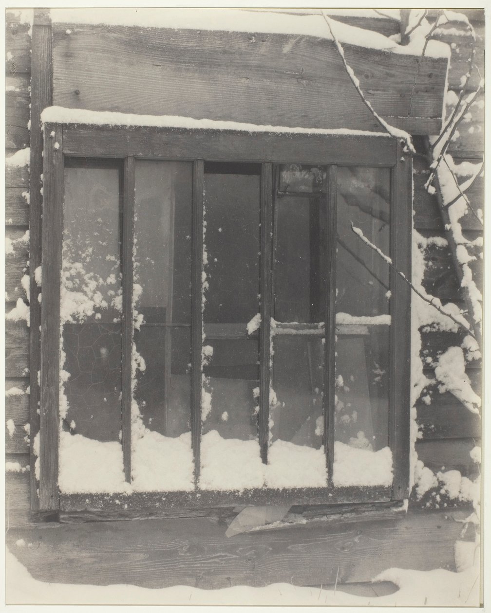 Vindu: Tre, Glass, Snø av Alfred Stieglitz