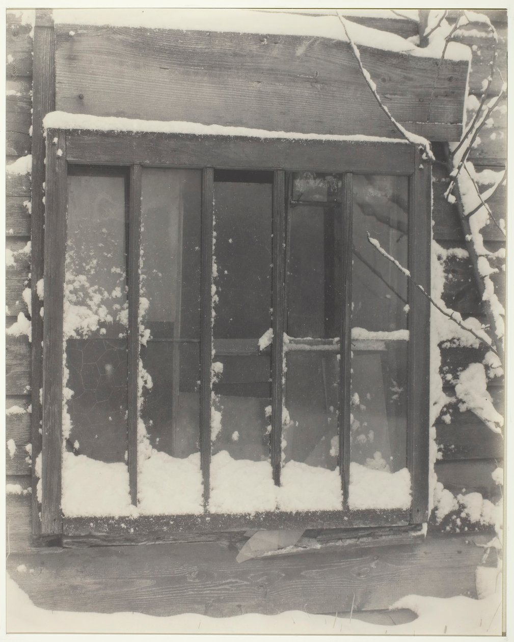 Vindu: tre, glass, snø, 1923. av Alfred Stieglitz