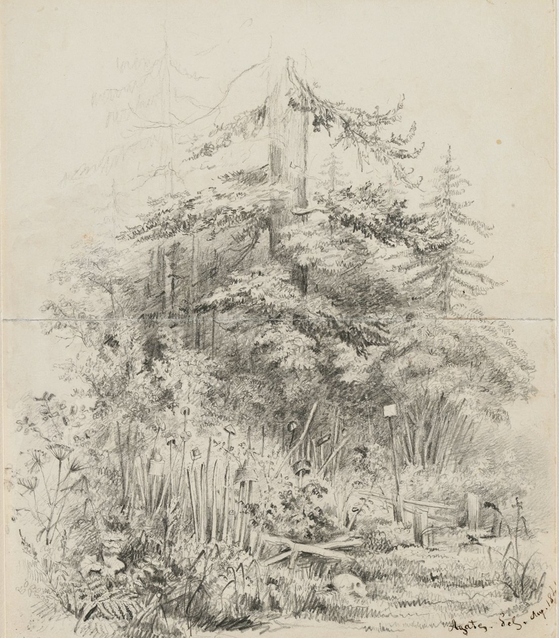Indian Burial Place, Oregon, 1841 (grafitt på to sømte skissebokark med kremvevd papir) av Alfred Thomas Agate