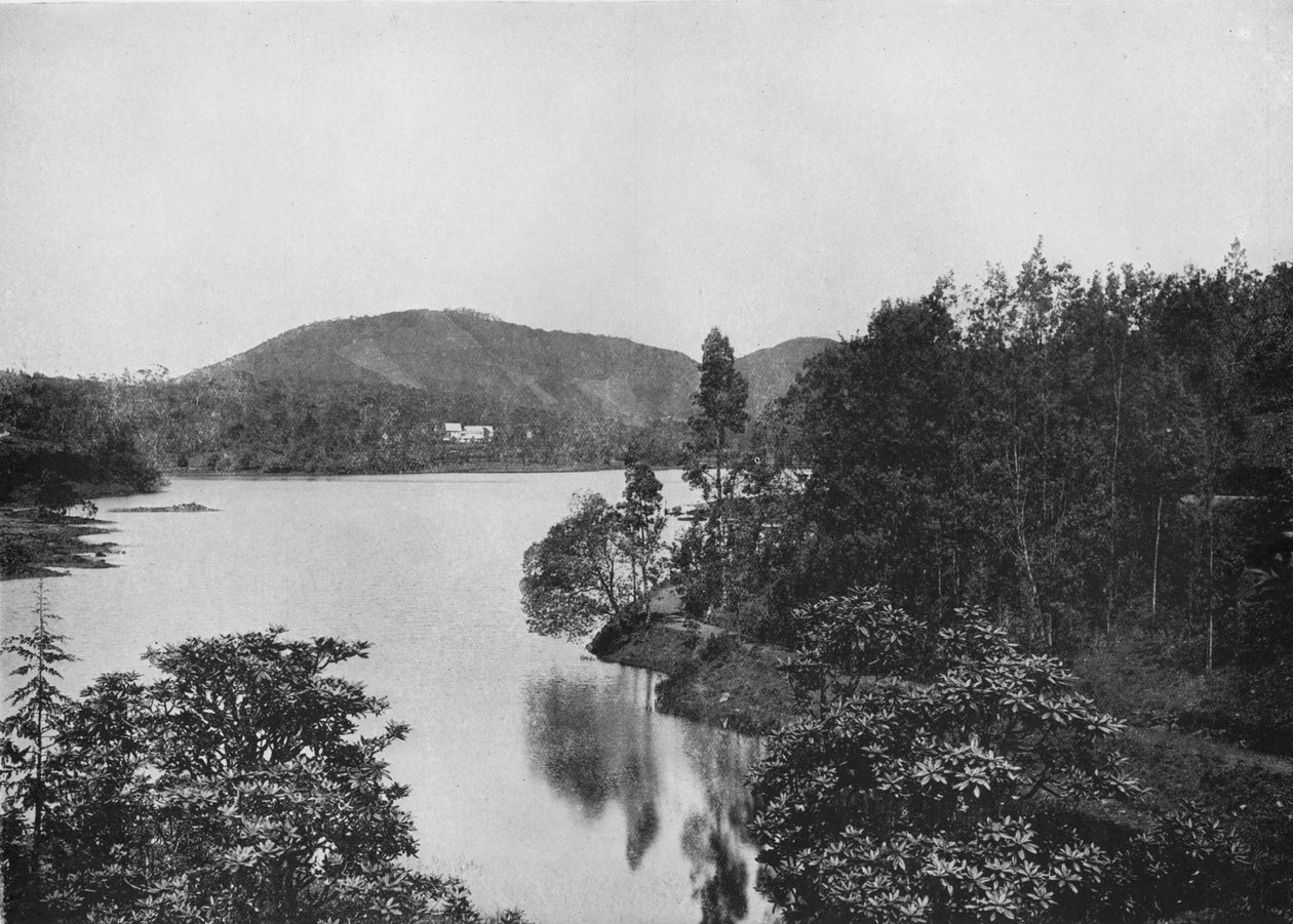Et hjørne av Nuwara Eliya Lake, c1890, 1910 av Alfred William Amandus Plate
