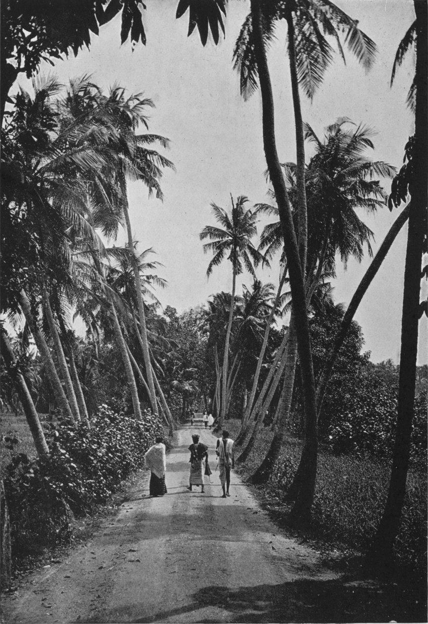 A Path Through Paddy Fields, c1890, 1910 av Alfred William Amandus Plate