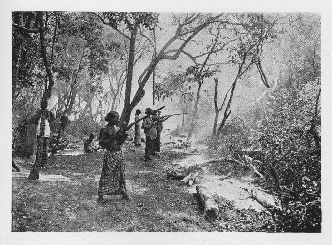 Elephant Kraaling in Ceylon Towards the Stockade, c1890, 1910 av Alfred William Amandus Plate