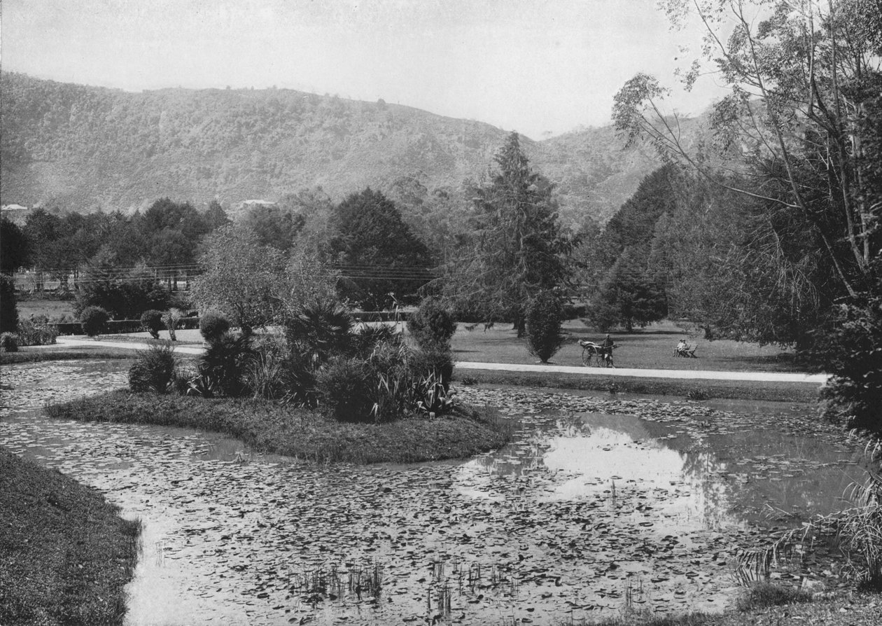 Hakgalla Gardens from the Lotus Pond, Nuwara Eliya, c1890, 1910 av Alfred William Amandus Plate