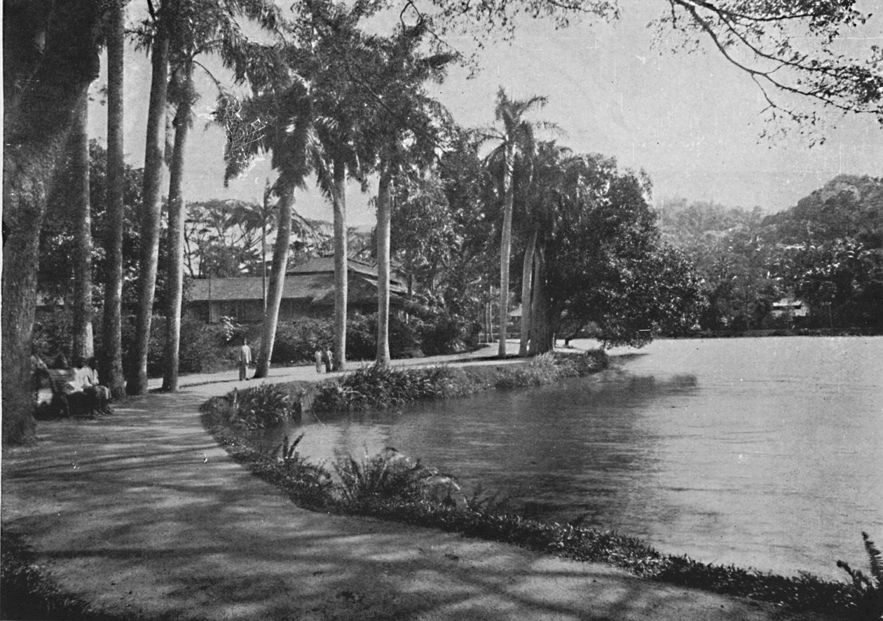Kandy Lake and Drive, c1890, 1910 av Alfred William Amandus Plate