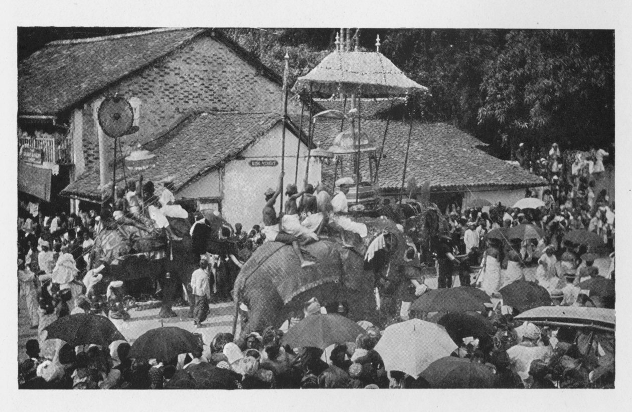 Kandy Perahera. - En prosesjon av elefanter gjennomført av Kandyan Chiefs, c1890, 1910 av Alfred William Amandus Plate