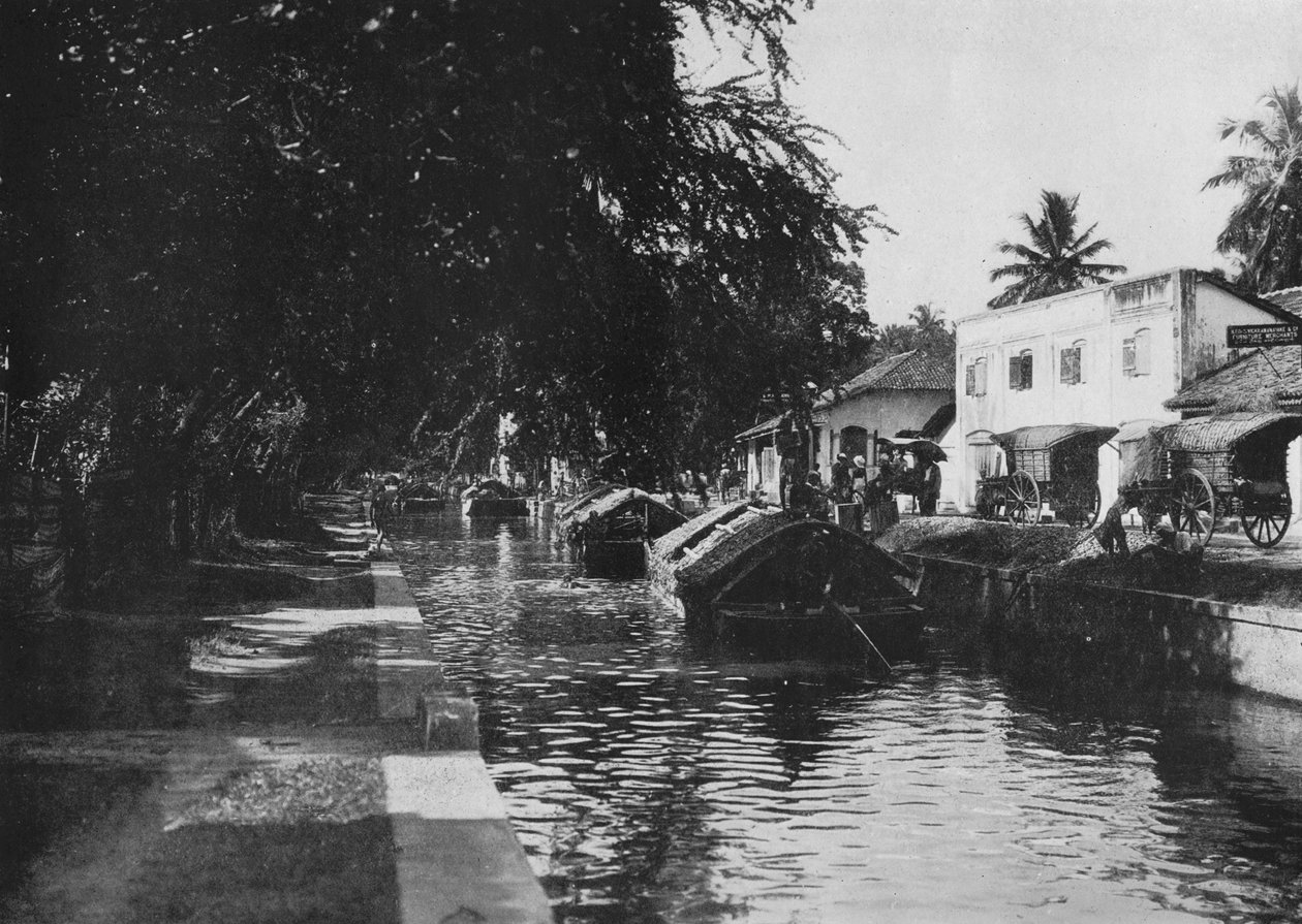 Negombo-kanalen, viser paddabåter, c1890, 1910 av Alfred William Amandus Plate