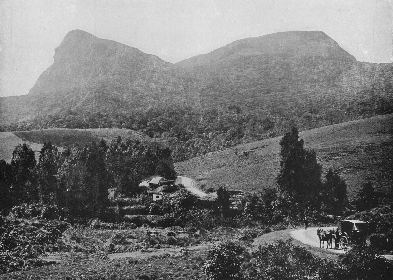 På veien til Hakgalla. Hakgalla Rock in the Distance, c1890, 1910 av Alfred William Amandus Plate
