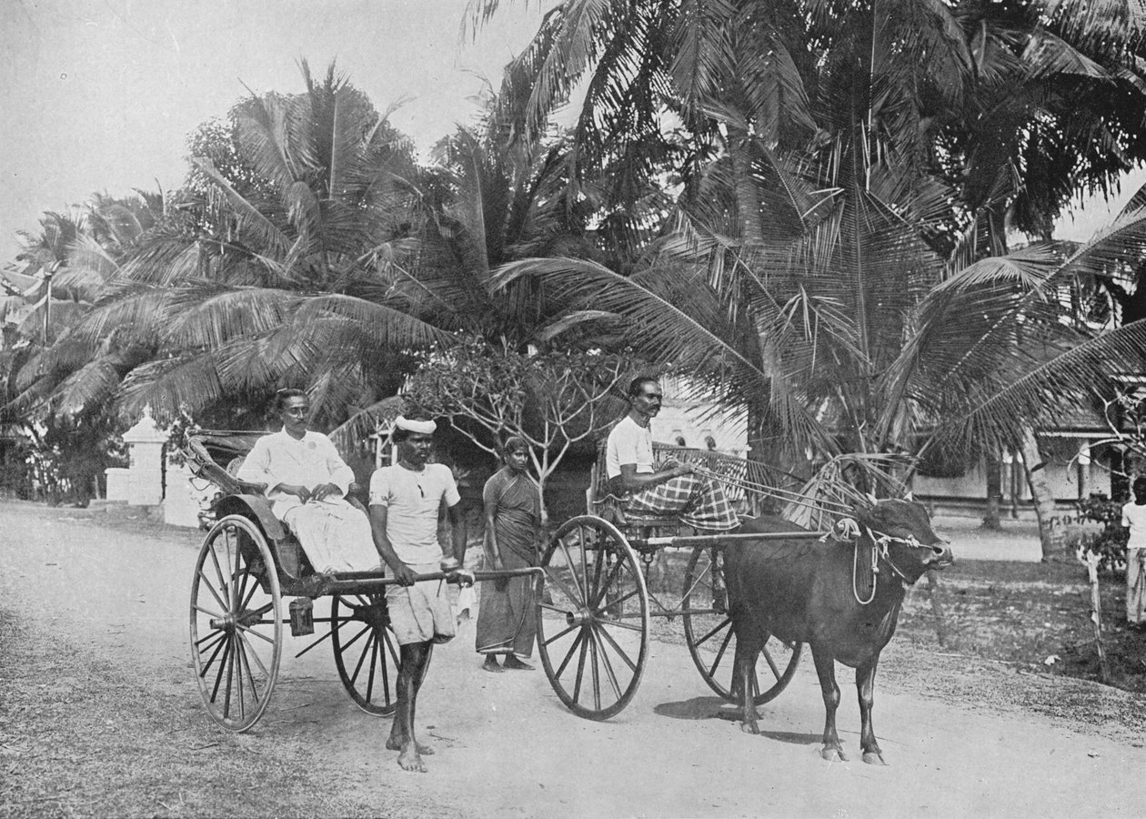 Rickshaw and Racing Hackery, c1890, 1910 av Alfred William Amandus Plate