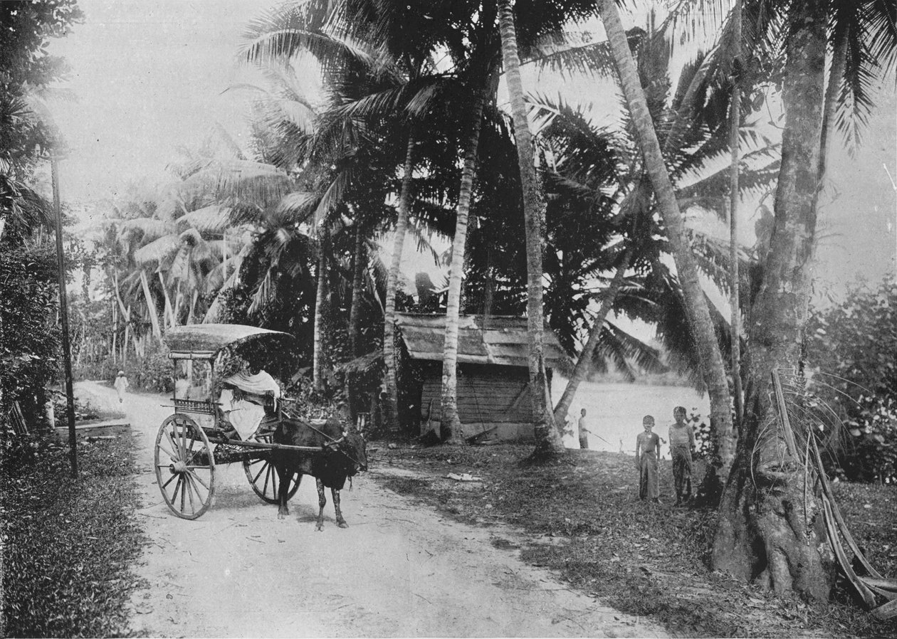 Road Beside the Kelaniya River, c1890, 1910 av Alfred William Amandus Plate