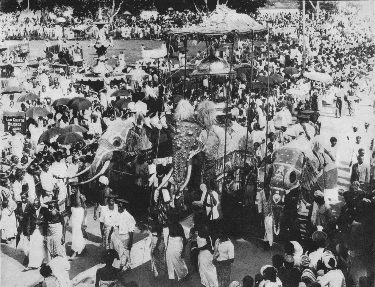 Hellig elefant i Perahera-prosesjonen, Kandy, Ceylon, c1890, 1910 av Alfred William Amandus Plate